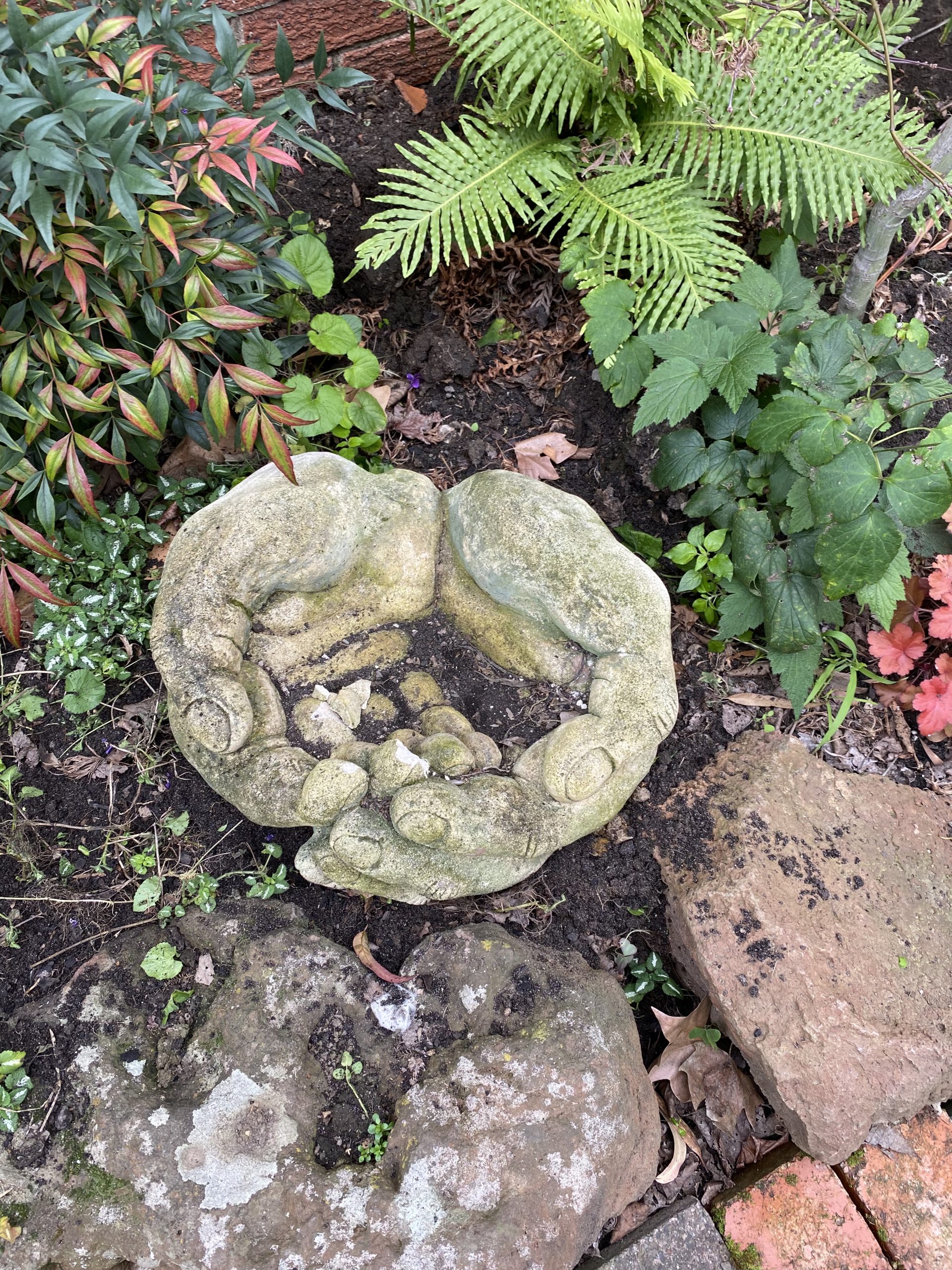 Christmas Recovery Sunday