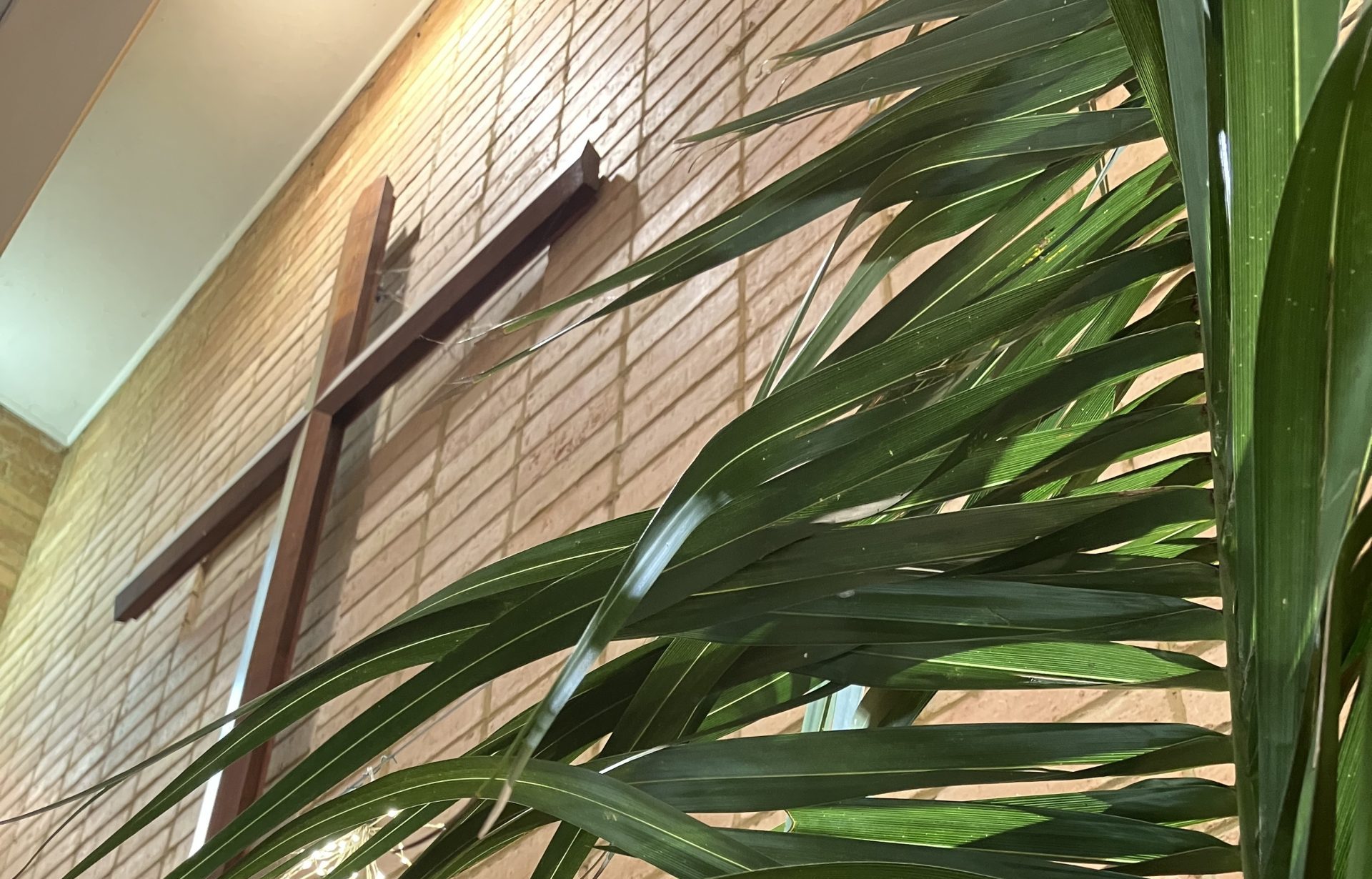 Palm Sunday and Wall Cross
